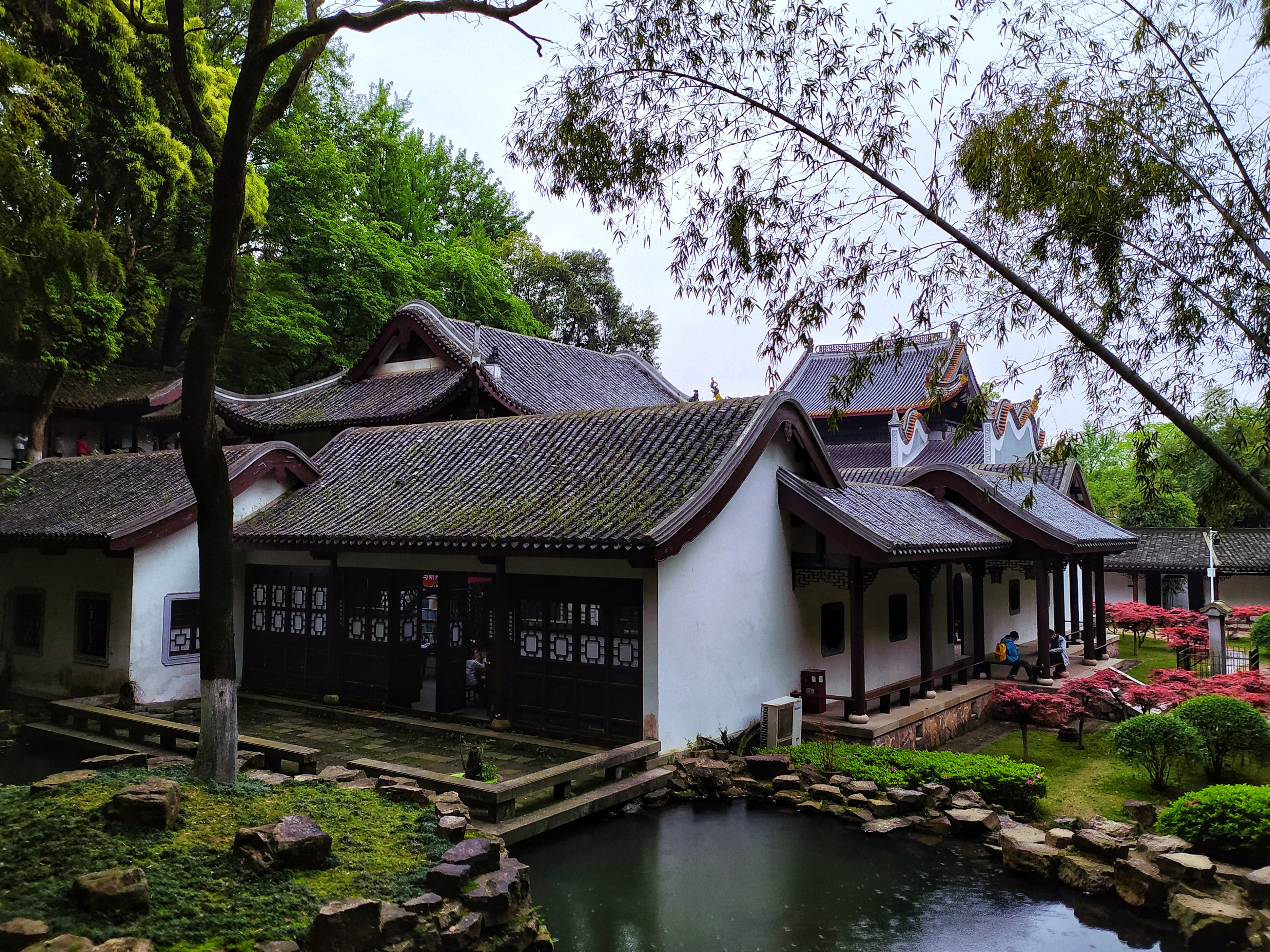 雨中书院